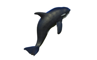 3d Illustration of A graceful killer whale glides through ocean depths with power, elegance, and wild freedom.
