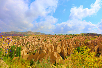 landscape of the mountains