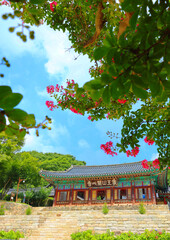 Korean Traditional House