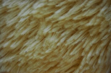 Intricate textures and delicate structures, evoking a warm, plush, and fuzzy surface