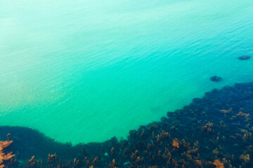 Clear turquoise ocean water and and barrier reef with algae, aerial view, natural background.