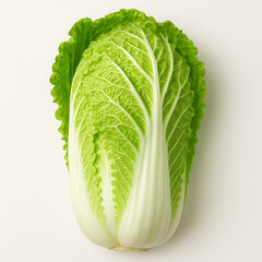 Fresh Whole Napa Cabbage on White Background