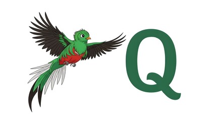 Obraz premium Quetzal and the Letter Q Illustration