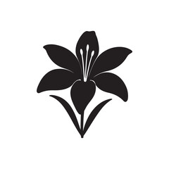 Lily Flower Silhouette Vector Illustration on White Background