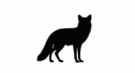 wolf vector illustration