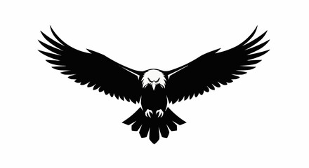 Fototapeta premium eagle in flight