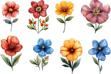 collection of flowers