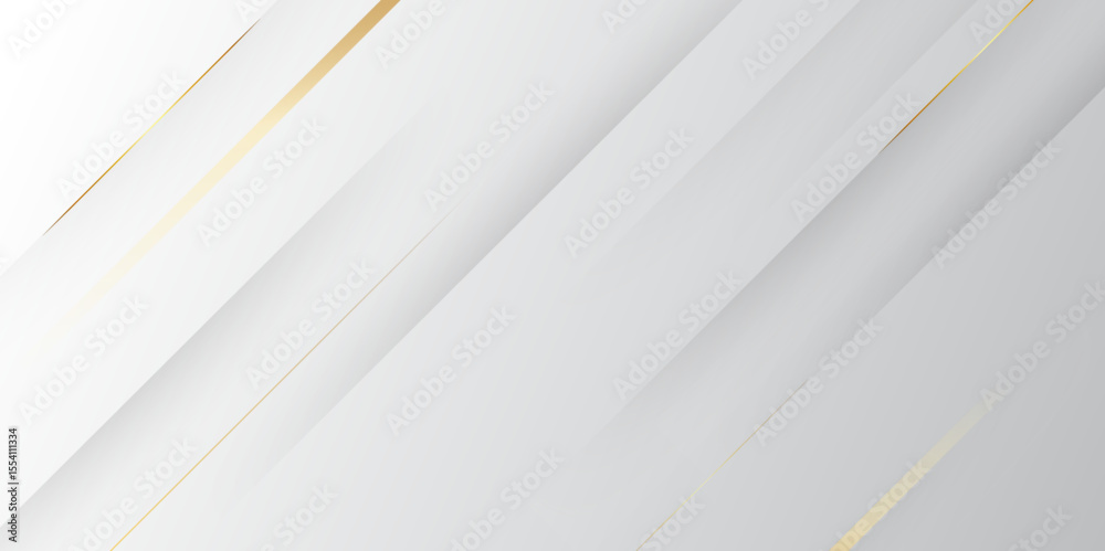 Poster dynamic and luxury grey shadows golden line abstract background. abstract grey and white geometric g
