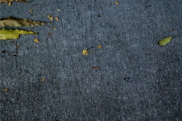 An abstract view of a concrete surface adorned with fallen leaves and tiny yellow flowers