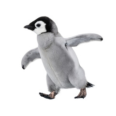 Untitled design - Playful Baby Penguin Sliding on Ice, isolated on a transparent background