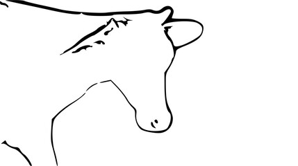 Vector Illustration of a Cow
