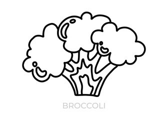 vector illustration of cauliflower icon