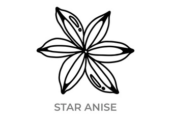 vector illustration of a star anise icon
