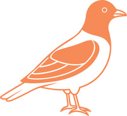 vector illustration of a bird