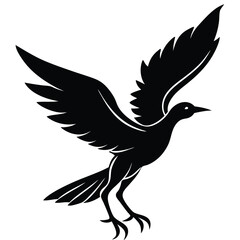 Obraz premium Majestic Bird Silhouette Wings Angled Back, Landing Gracefully