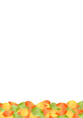 水彩風のかわいい葉っぱイラスト