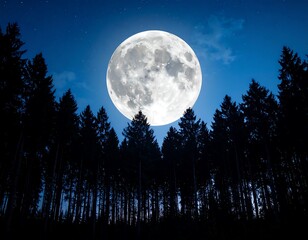 Fototapeta premium Full moon over a dark forest