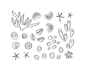 Hand drawn sea life collection