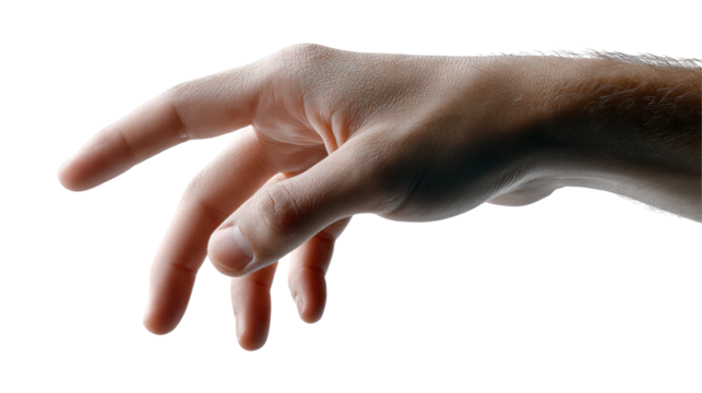 Hand isolated transparent background showing fingers relaxed position with natural skin texture