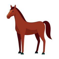 Obraz premium brown quarter horse vector illustration Vector icon isolated on white background
