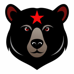 California Black Bear Head on White Background