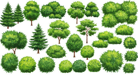 Trees and shrubs illustration set