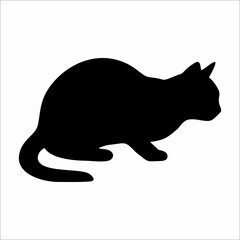 silhouette of a cat