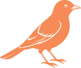 vector illustration of cartoon bird