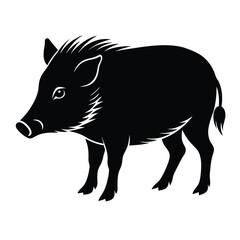 Peccary  silhouette vector on white background