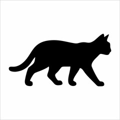 silhouette of a cat