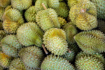 durian, a large pile of durian, fresh durians stacked together, durian tropical fruit market concept, seasonal produce, agriculture, and export product of asia