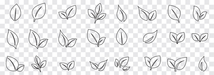 Leaf icons set. Green and Black leaf vector icons. Eco leaf logo. Environment and nature eco sign, Green leaves collection. Ecology leaf  vector illustration. Eps 10