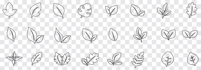 Black Leaf icon set. Eco friendly and bio logo, vegan. Leaves collection. Ecology leaf set. Leaf isolated  on white background. Variety leaves Design. EPS 10.