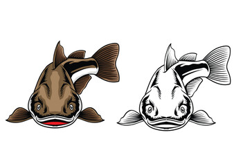 Hand Drawn Illustration of Catfish Isolated with black and white version