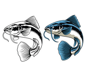 Hand Drawn Illustration of Catfish Isolated with black and white version