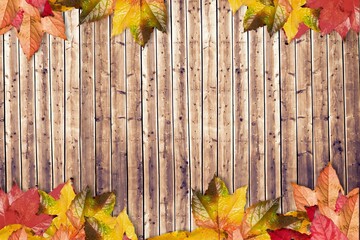 Rustic flat design panel is showcasing vertical wood planks with autumn maple leaves framing edges