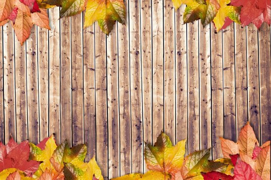 Fototapeta Rustic flat design panel is showcasing vertical wood planks with autumn maple leaves framing edges