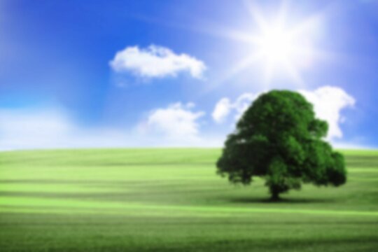 Fototapeta Tree on grassy field against sunny sky