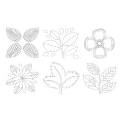 Six leaf and flower designs isolated on white background