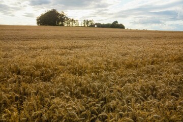 Scenic view of landscape against cloudy sky