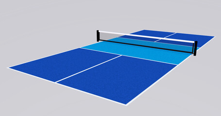 Pickleball court on blue green daily activity