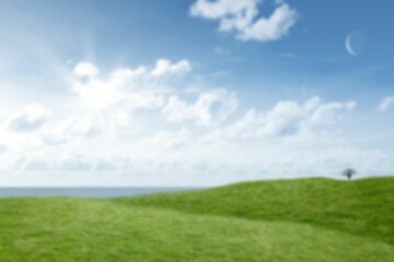 Grassy field against sky