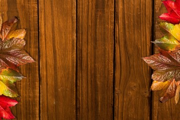 Top-down view showing autumn leaves clustering along wooden plank edges, flat design, copy space
