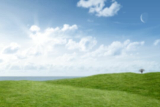 Fototapeta Grassy field against sky