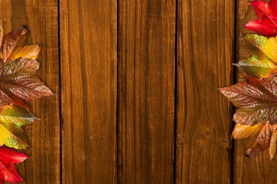 Fototapeta Top-down view showing autumn leaves clustering along wooden plank edges, flat design, copy space