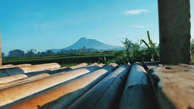 View of Mount Merapi in the misty morning from the field are