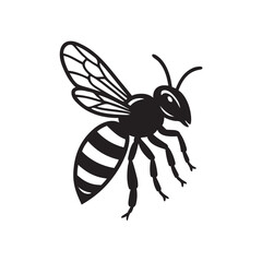vector illustration of a bee