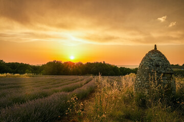 Lavender field and borie (dry stone hut) in Provence, France. Atmospheric scene against an...