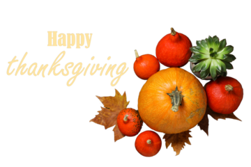 Colorful pumpkins show Thanksgiving, isolated on white, PNG