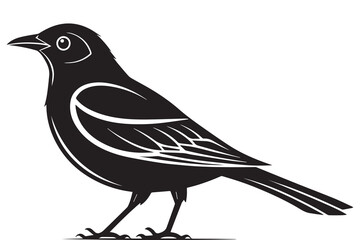 Set of black bird silhouettes. Vector elements for design.